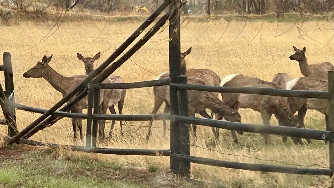 Photo of Outdoor in Loveland