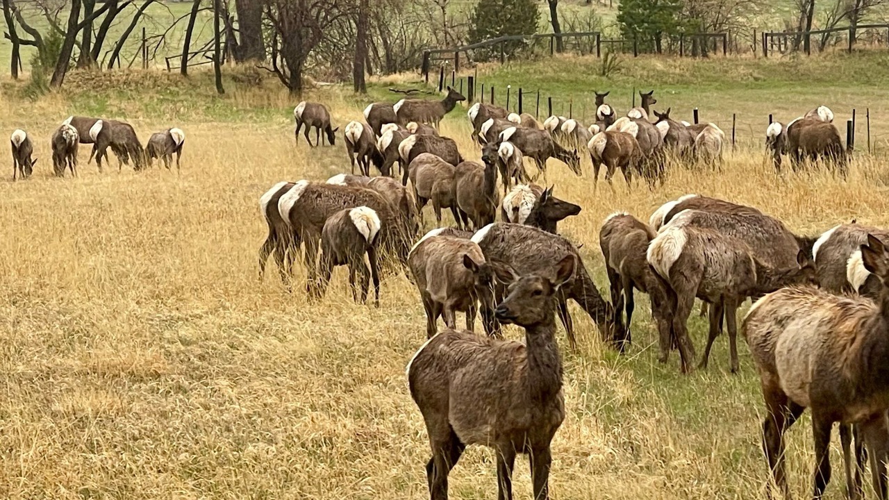Photo of Outdoor in Loveland