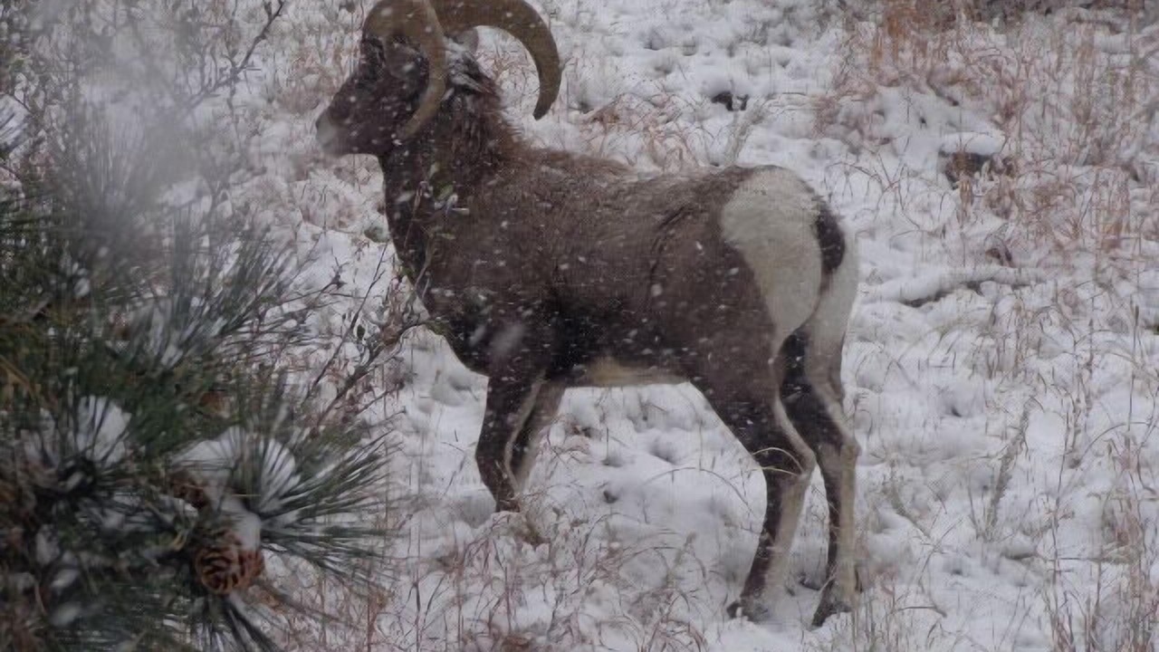 Photo of Others in Loveland