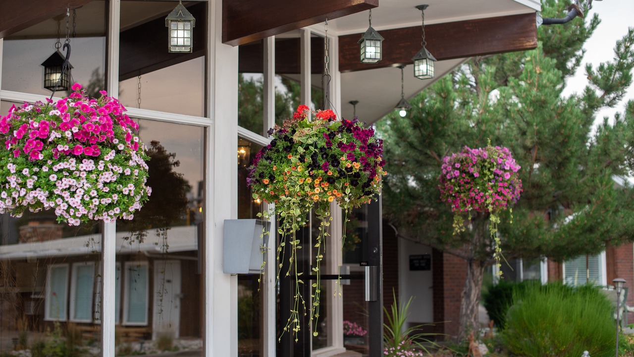 Photo of Outdoor in Salida
