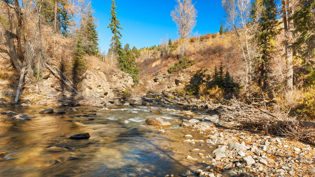 Photo of Outdoor in Carbondale