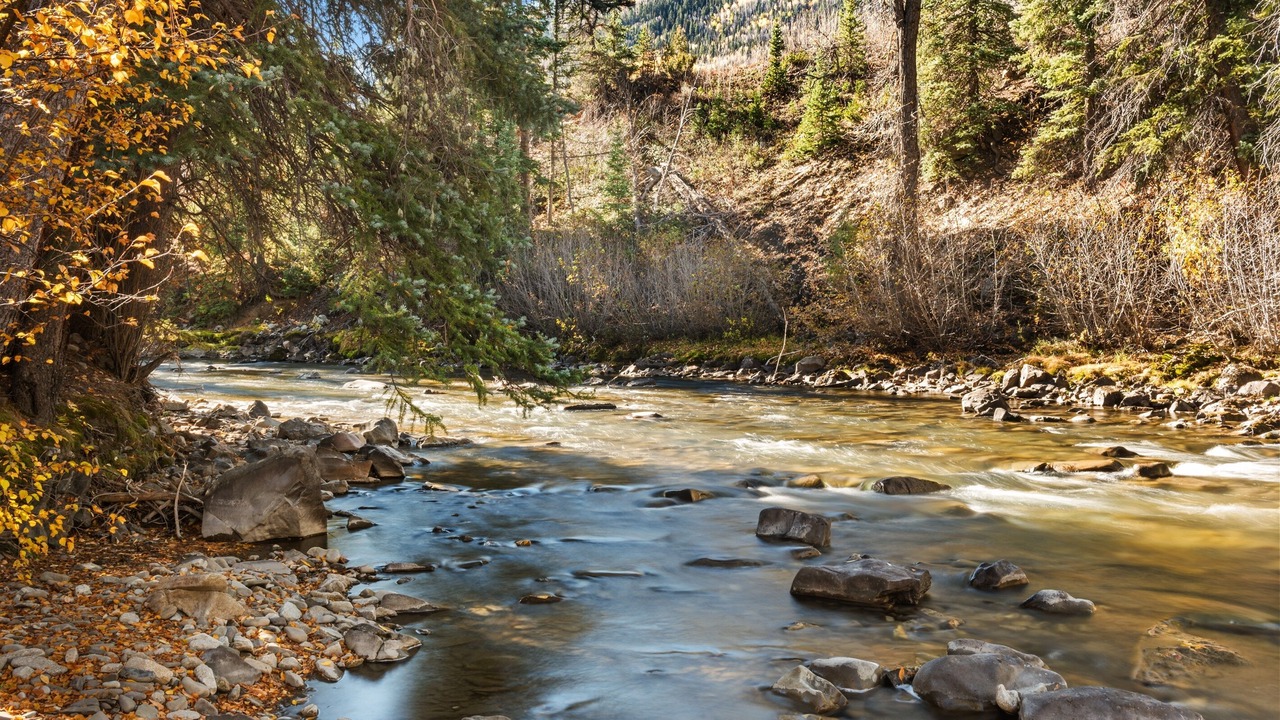 Photo of Outdoor in Carbondale