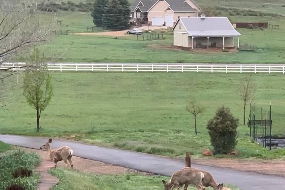Photo of Others in Loveland