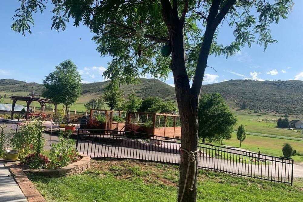 Photo of Outdoor in Loveland