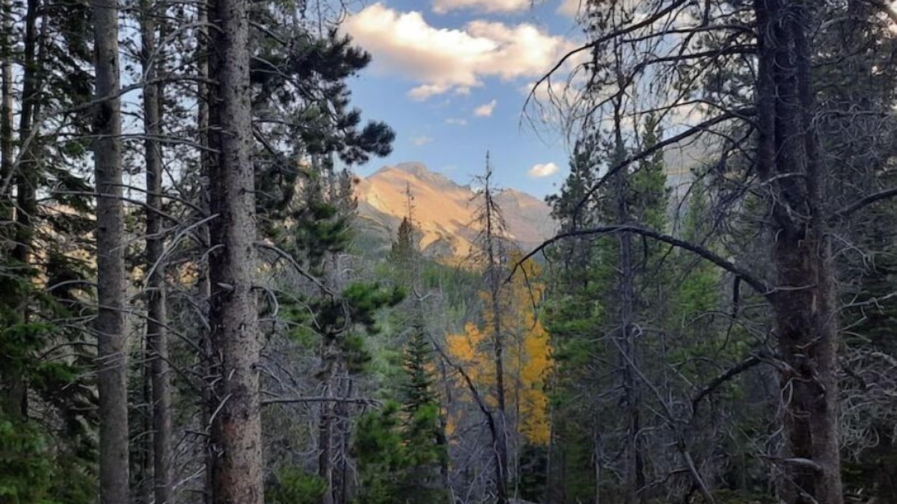 Photo of Outdoor in Gunbarrel