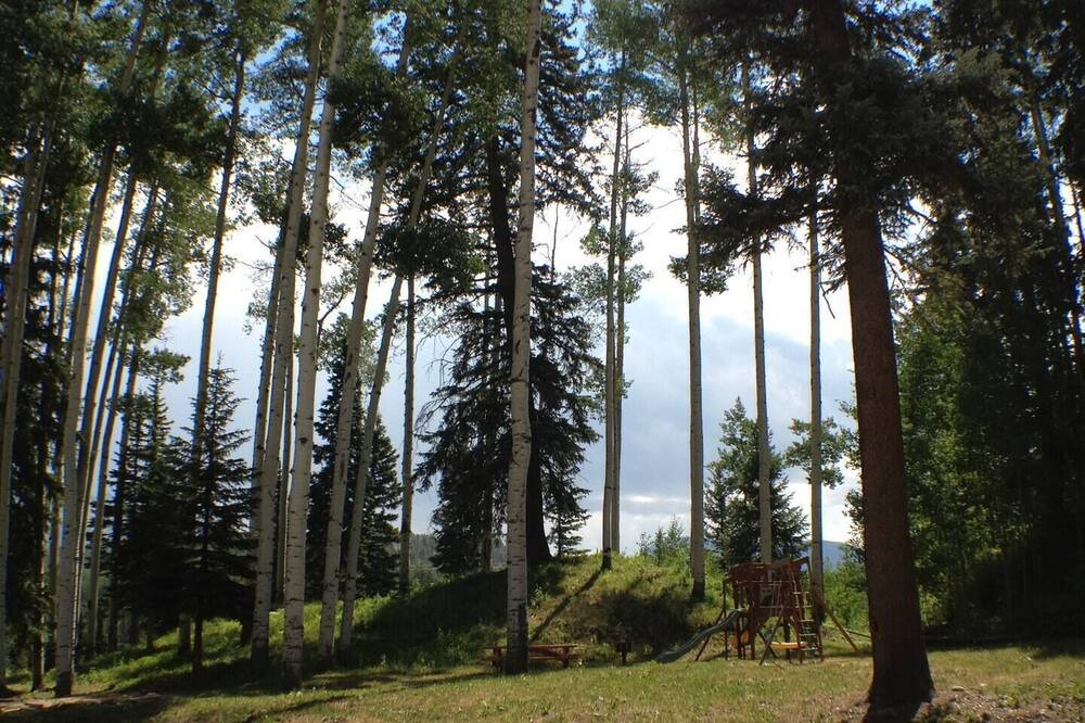 Photo of Outdoor in Columbine Lake