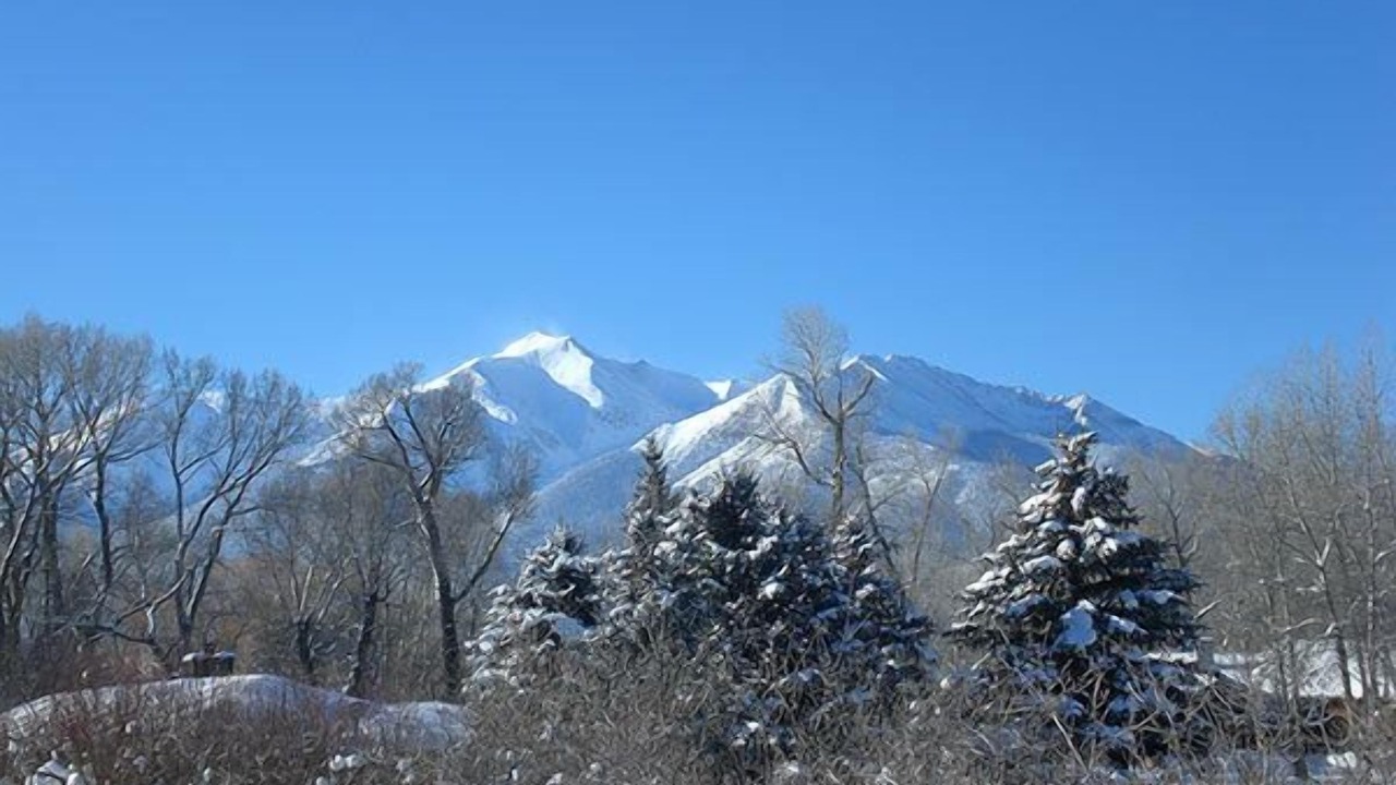 Photo of Others in Buena Vista