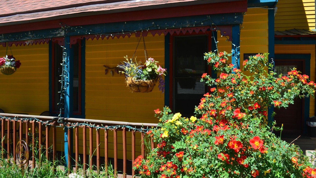 Photo of Outdoor in Ouray