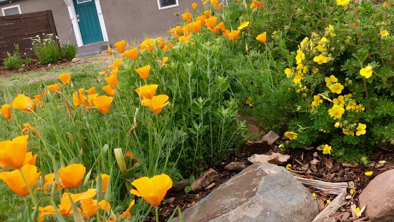 Photo of Outdoor in Hillside