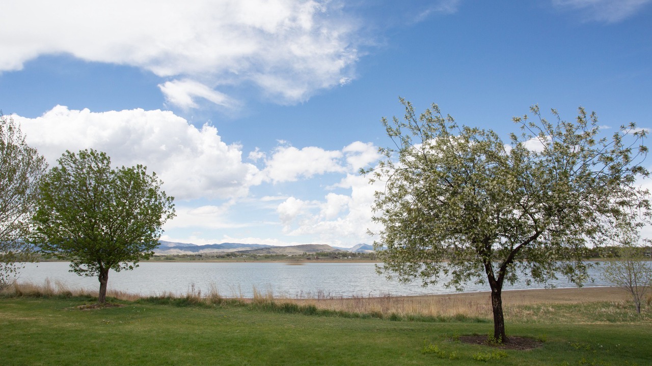 Photo of Others in Longmont