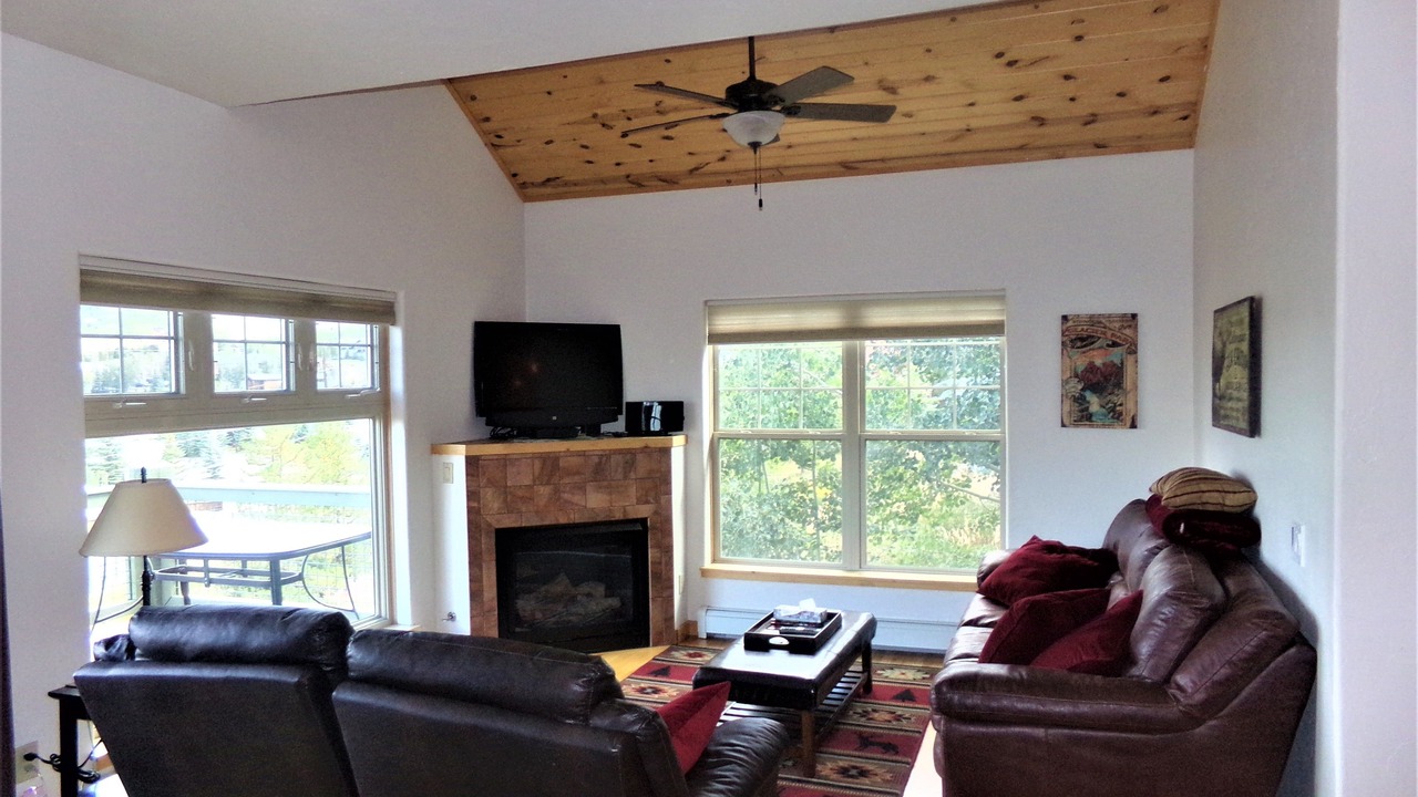 Photo of Livingroom in Dillon
