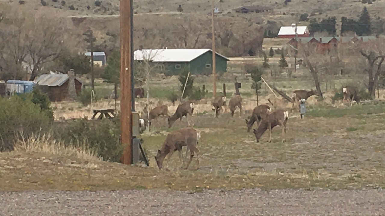 Photo of Outdoor in South Fork
