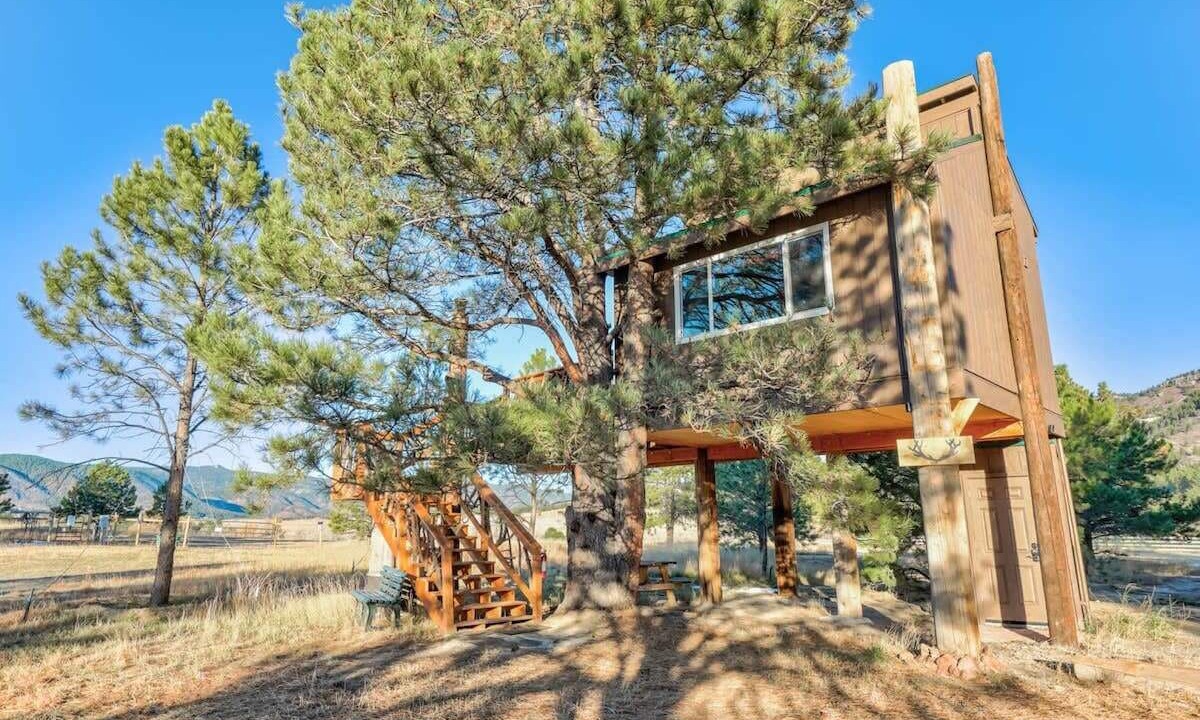 Photo of Outdoor in Larkspur