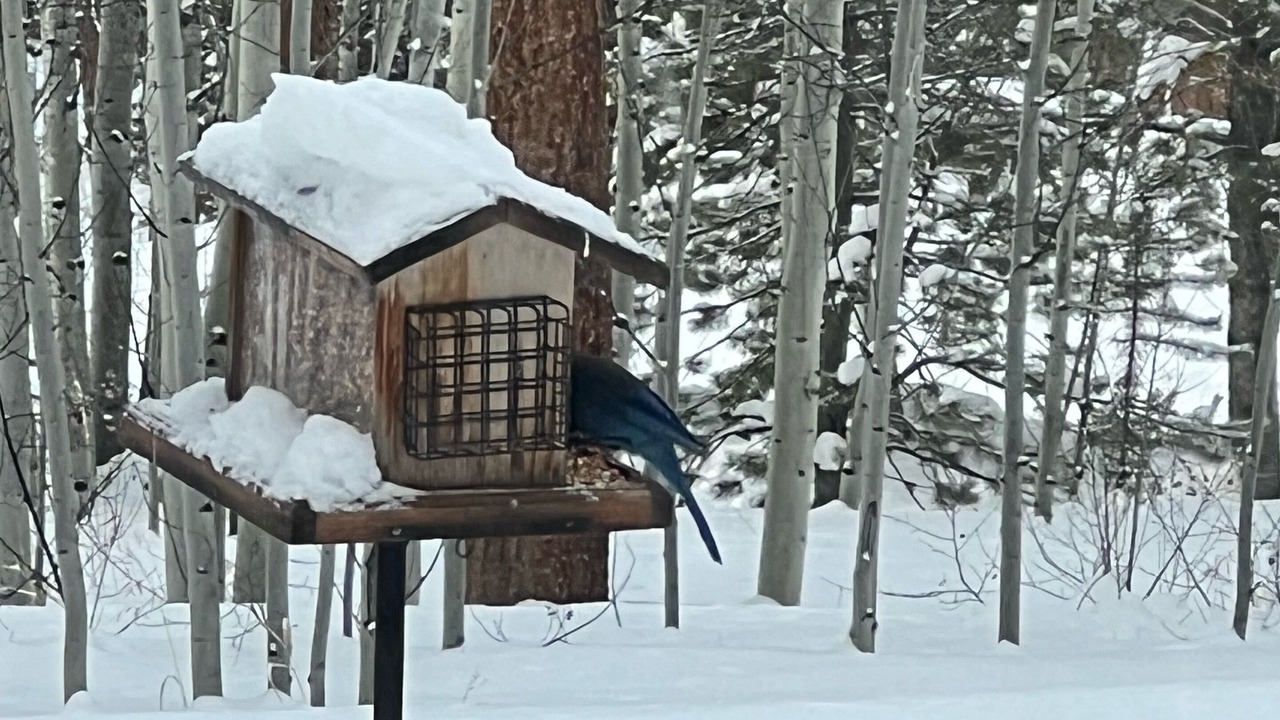 Photo of Outdoor in Sunset Ridge