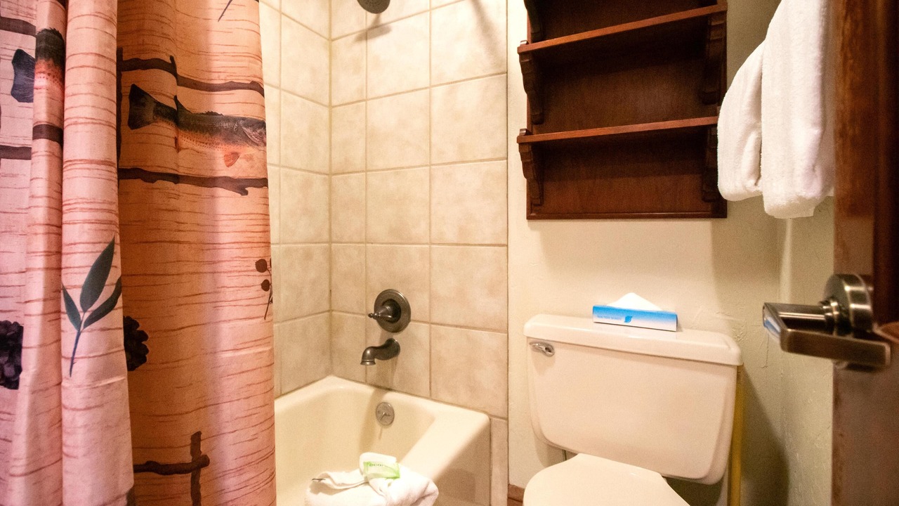 Photo of Bathroom in Steamboat Springs