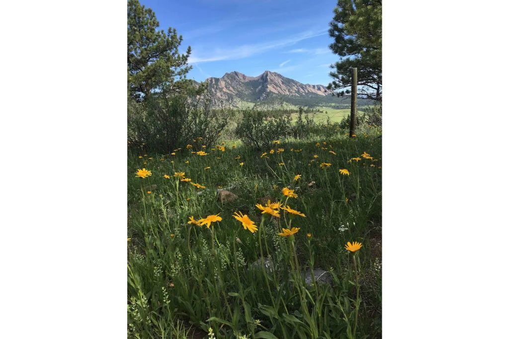 Photo of Others in North Boulder