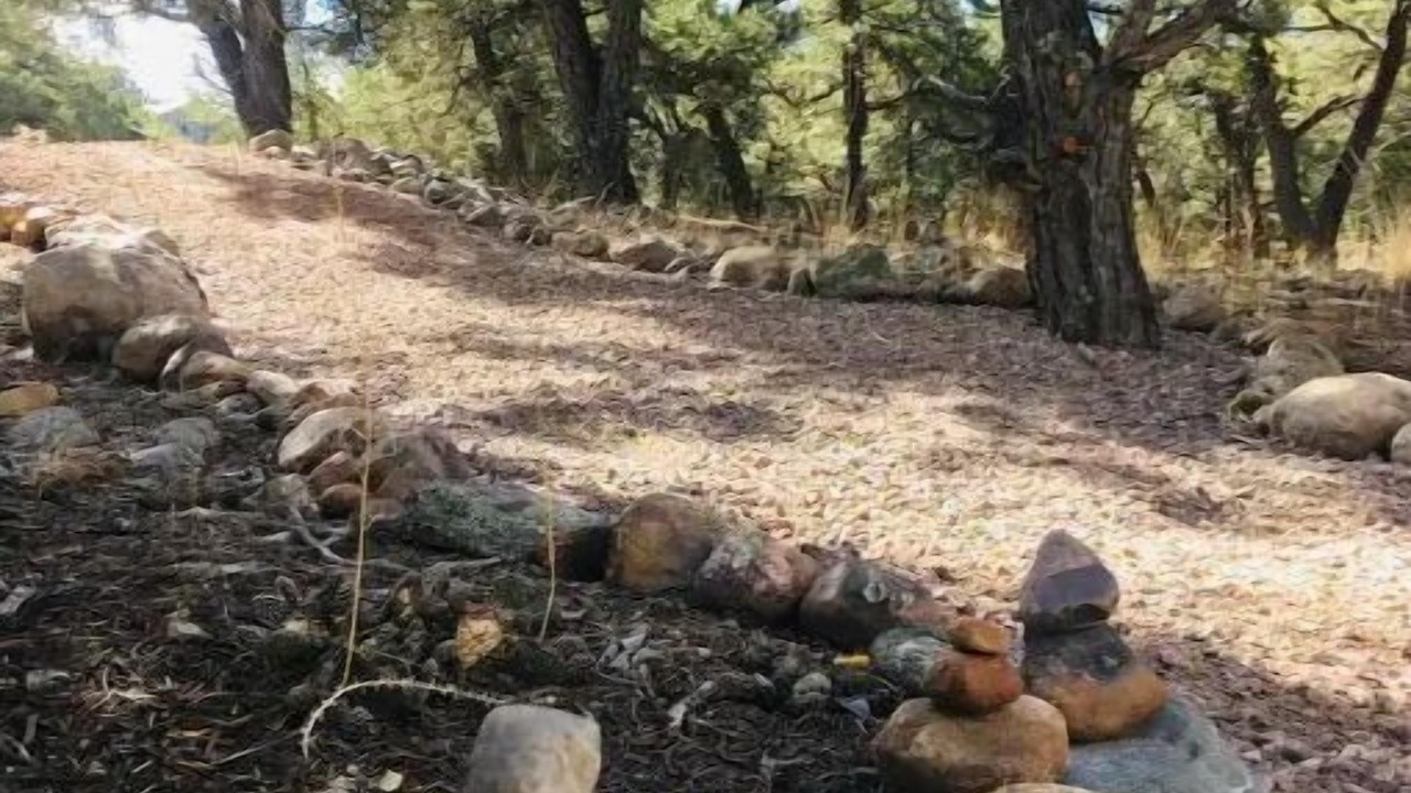Photo of Outdoor in Baca Grande