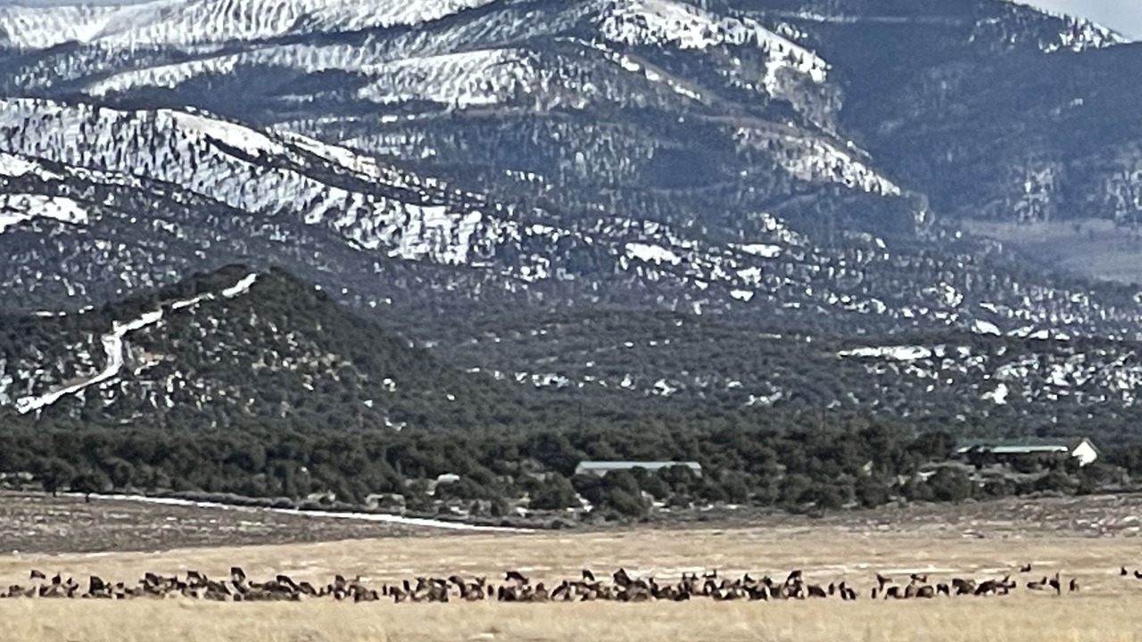 Photo of Outdoor in Fort Garland