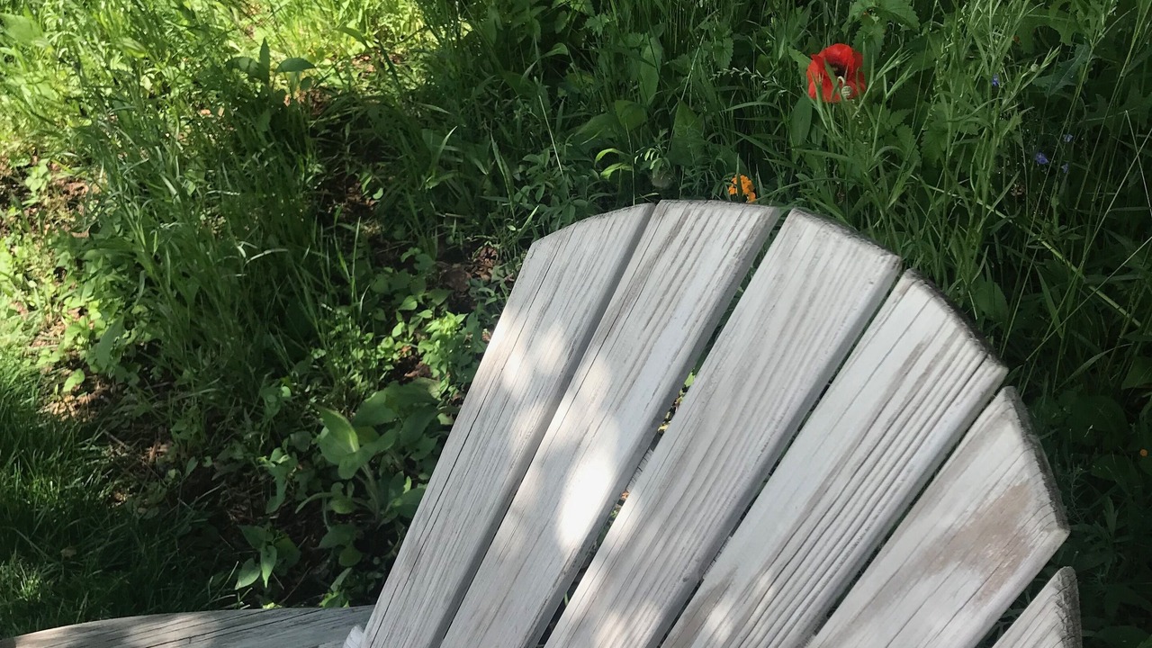 Photo of Others in Melody Heights