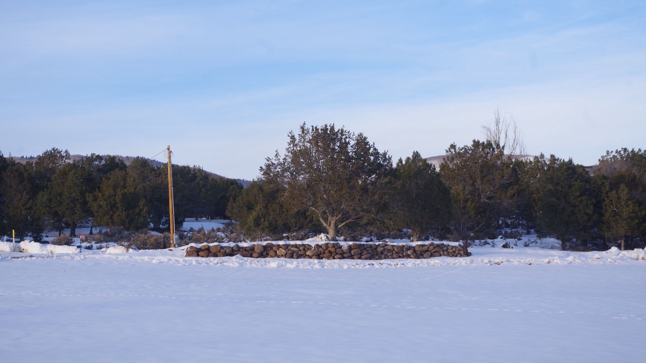 Photo of Others in Cedaredge