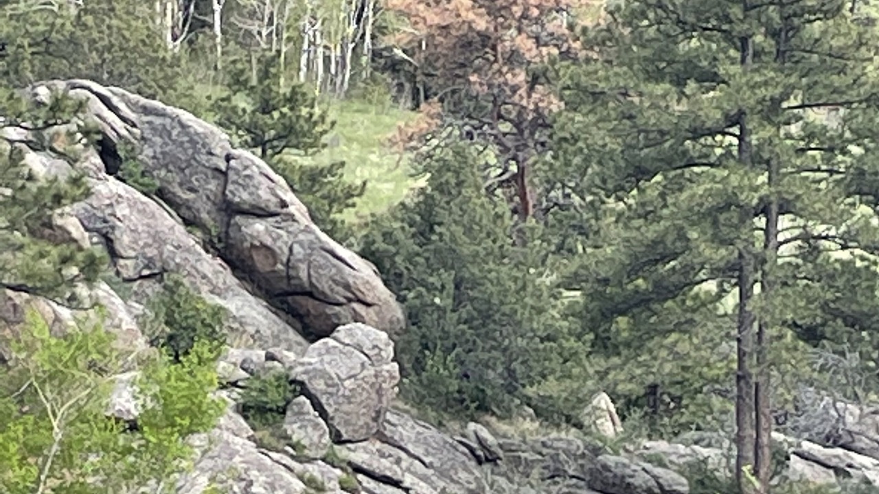Photo of Others in Glacier View Meadows
