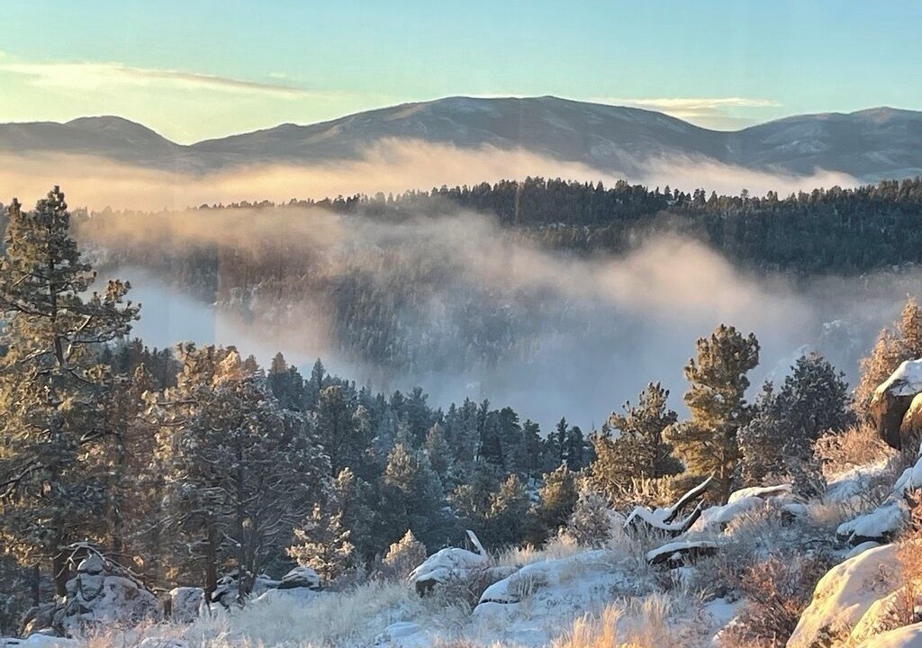 Photo of Others in Glacier View Meadows