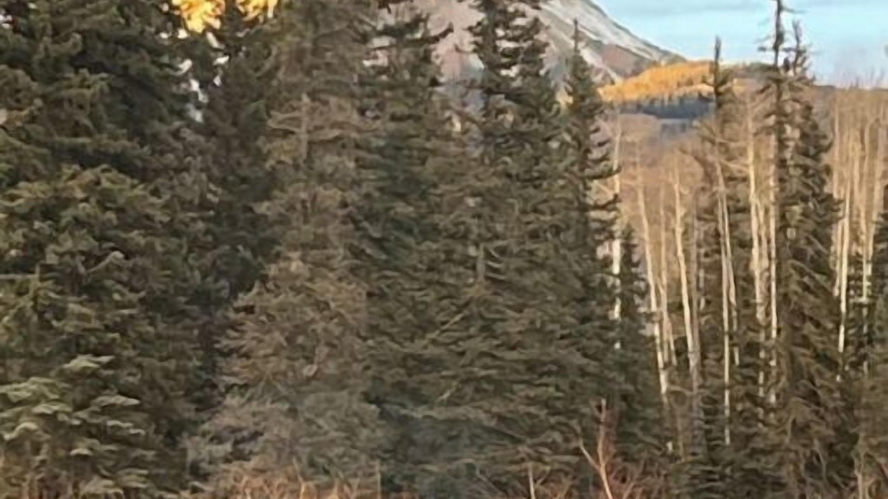 Photo of Outdoor in Columbine Lake