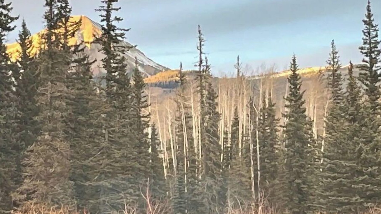 Photo of Others in Columbine Lake