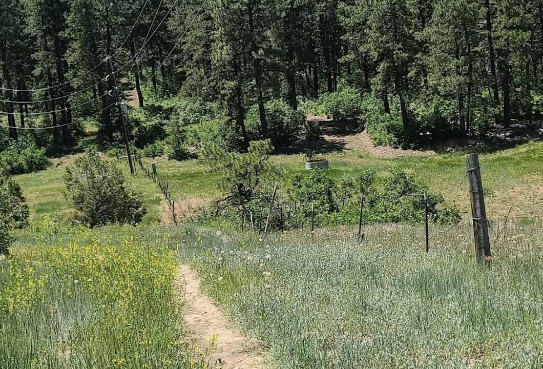 Photo of Outdoor in Durango West