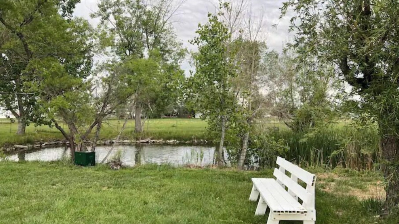 Photo of Outdoor in Mead