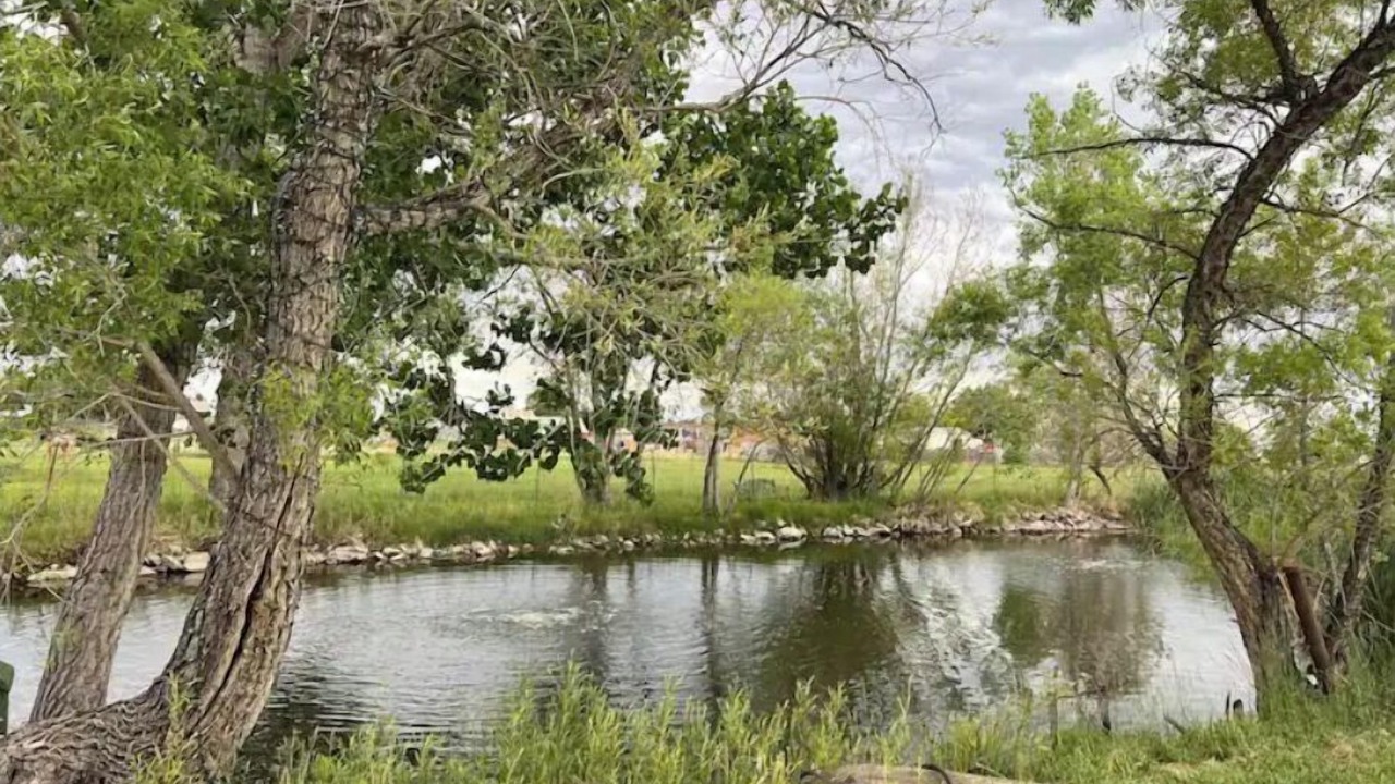 Photo of Outdoor in Mead