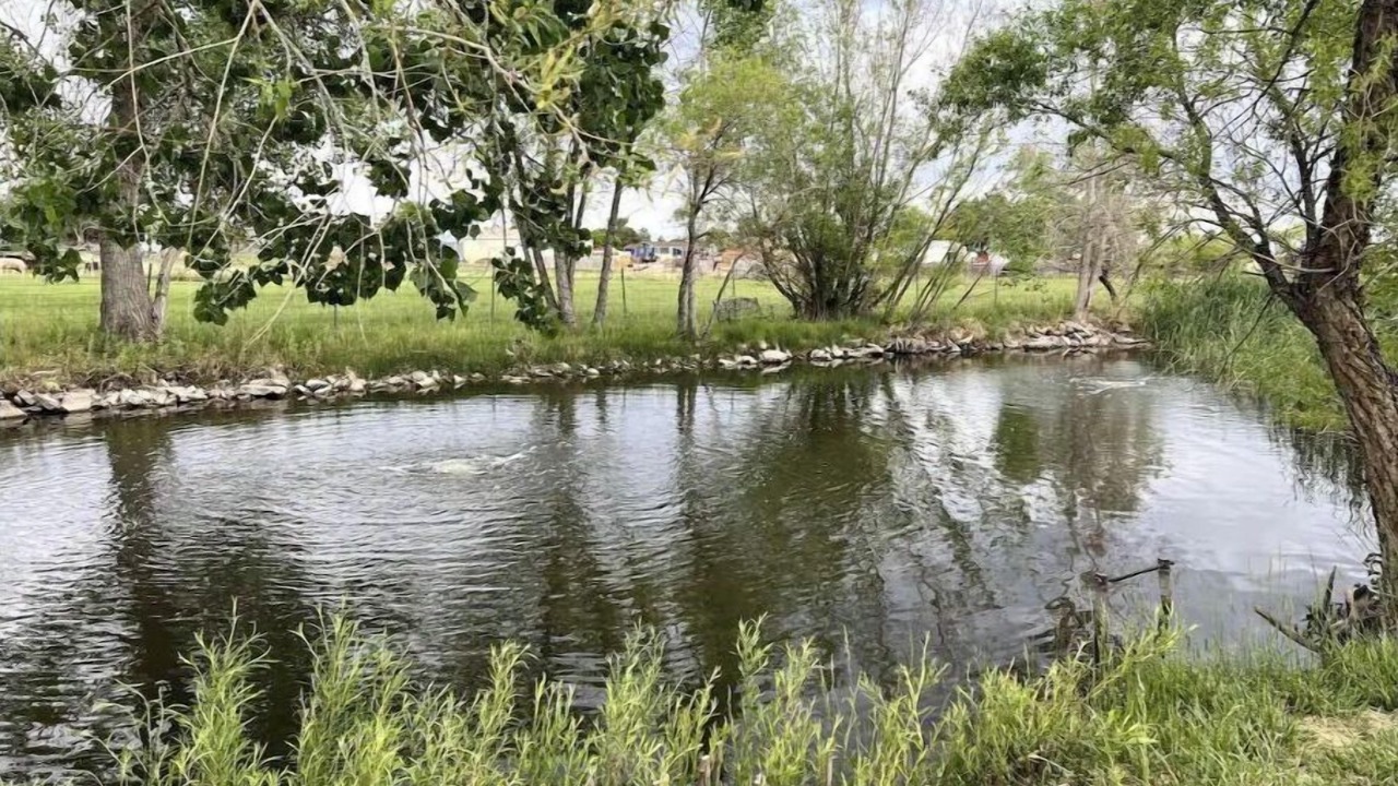 Photo of Outdoor in Mead
