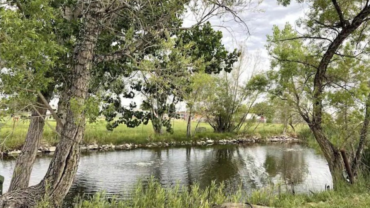 Photo of Outdoor in Mead
