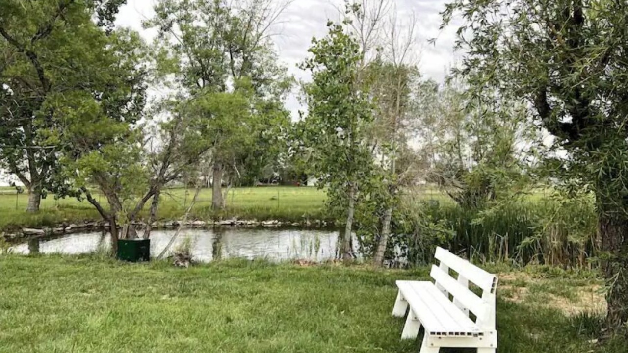 Photo of Outdoor in Mead