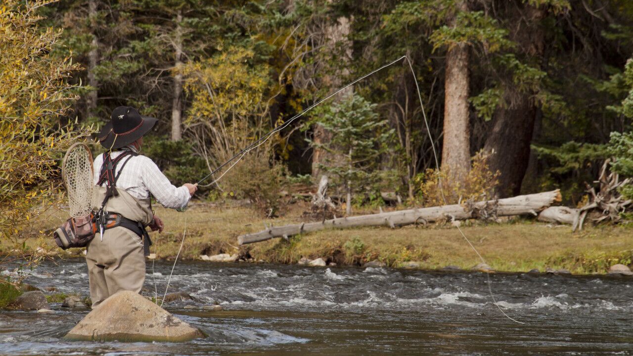 Photo of Others in Grand Lake
