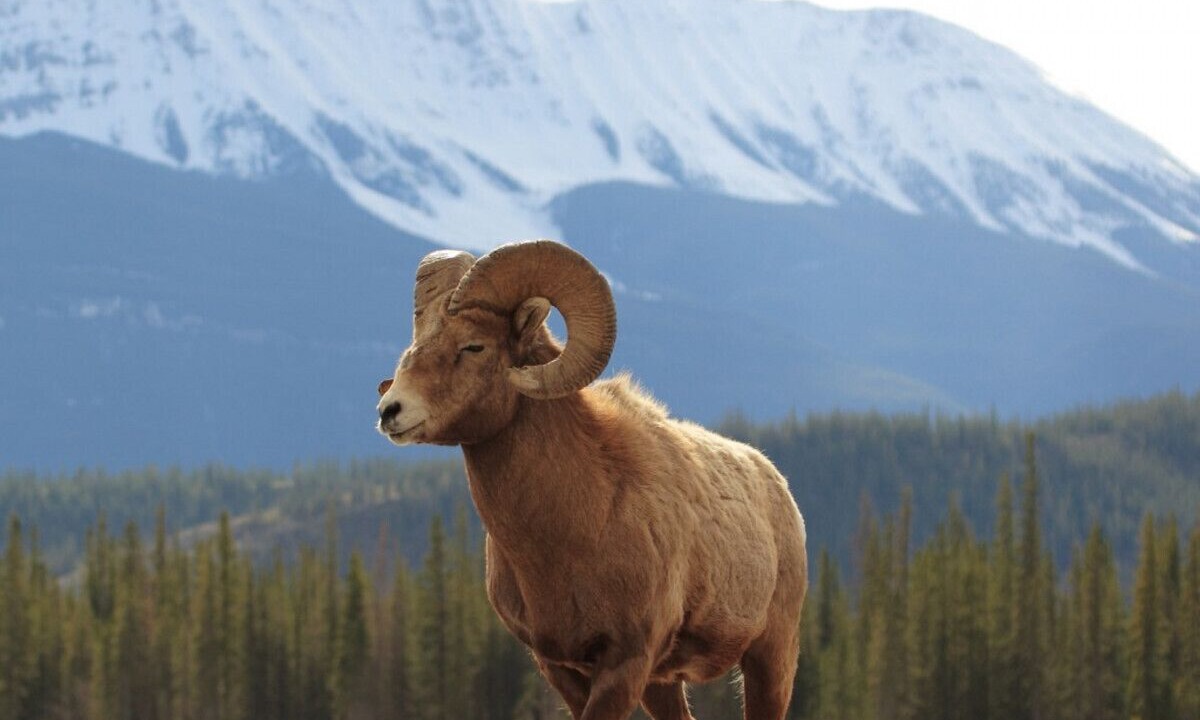 Photo of Others in Grand Lake