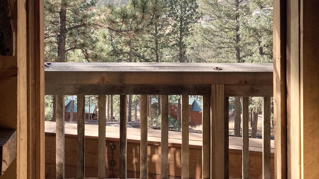 Photo of Outdoor in Woodland Park