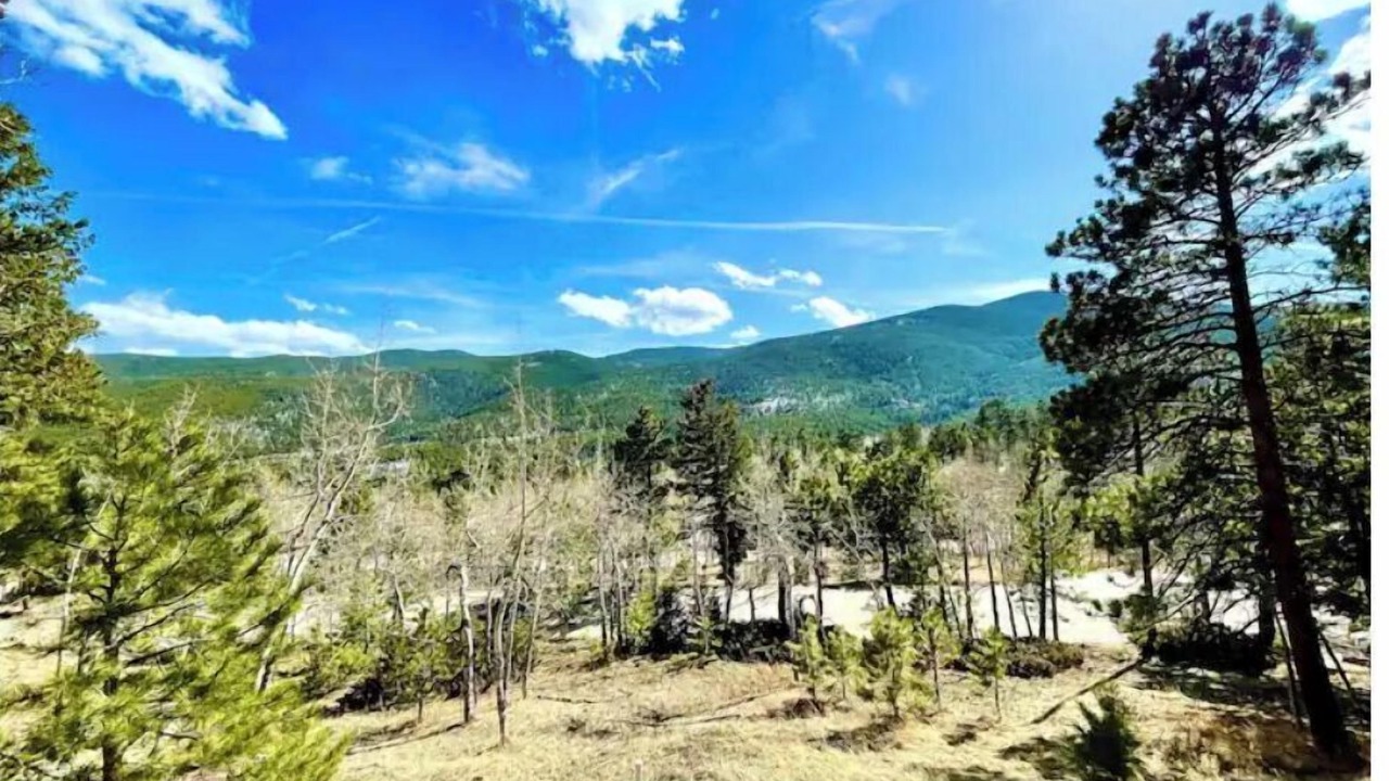Photo of Others in Evergreen