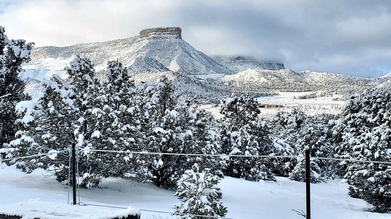 Photo of Others in Mancos