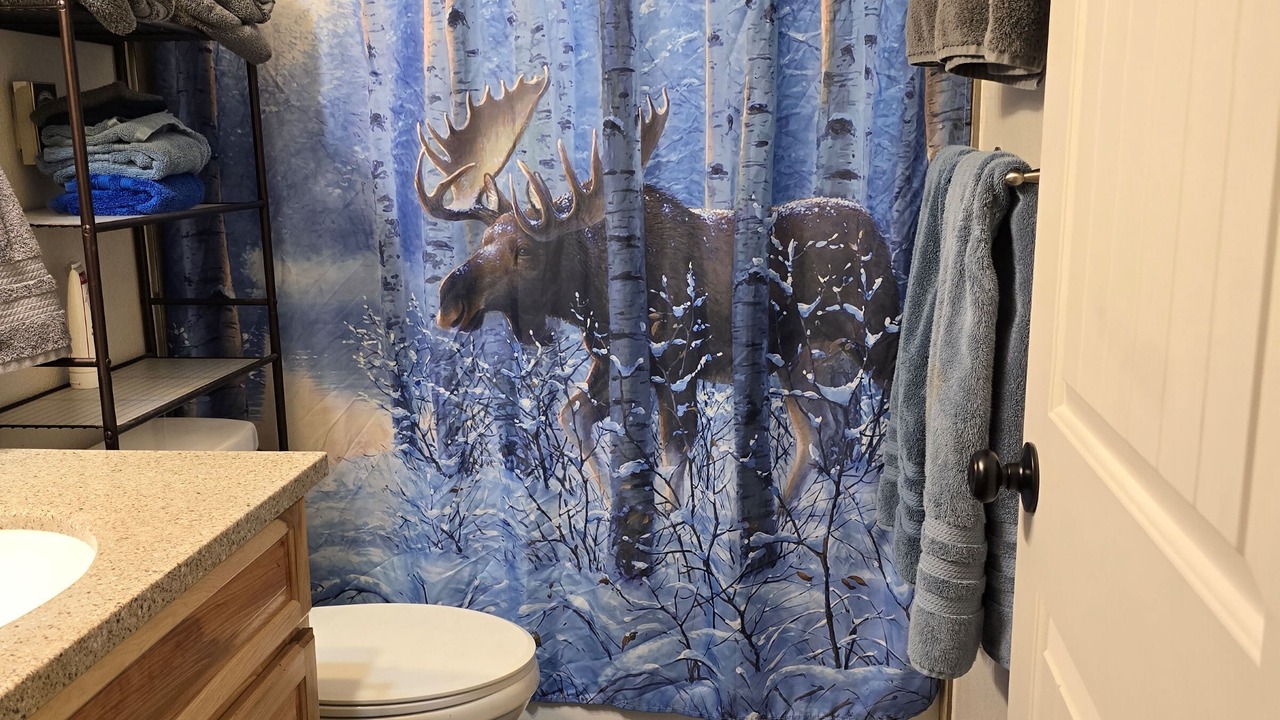 Photo of Bathroom in Crystal Lake