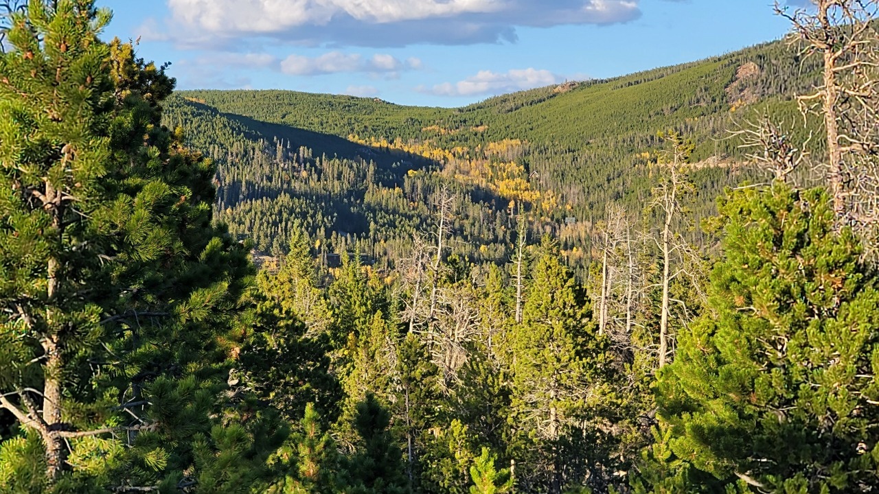 Photo of Outdoor in Crystal Lake