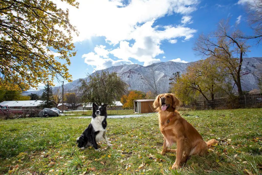 Photo of Outdoor in Glenwood Springs