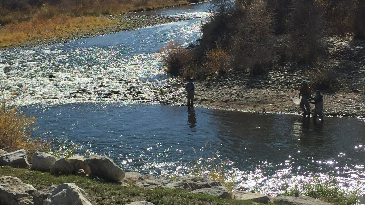 Photo of Others in Steamboat Springs