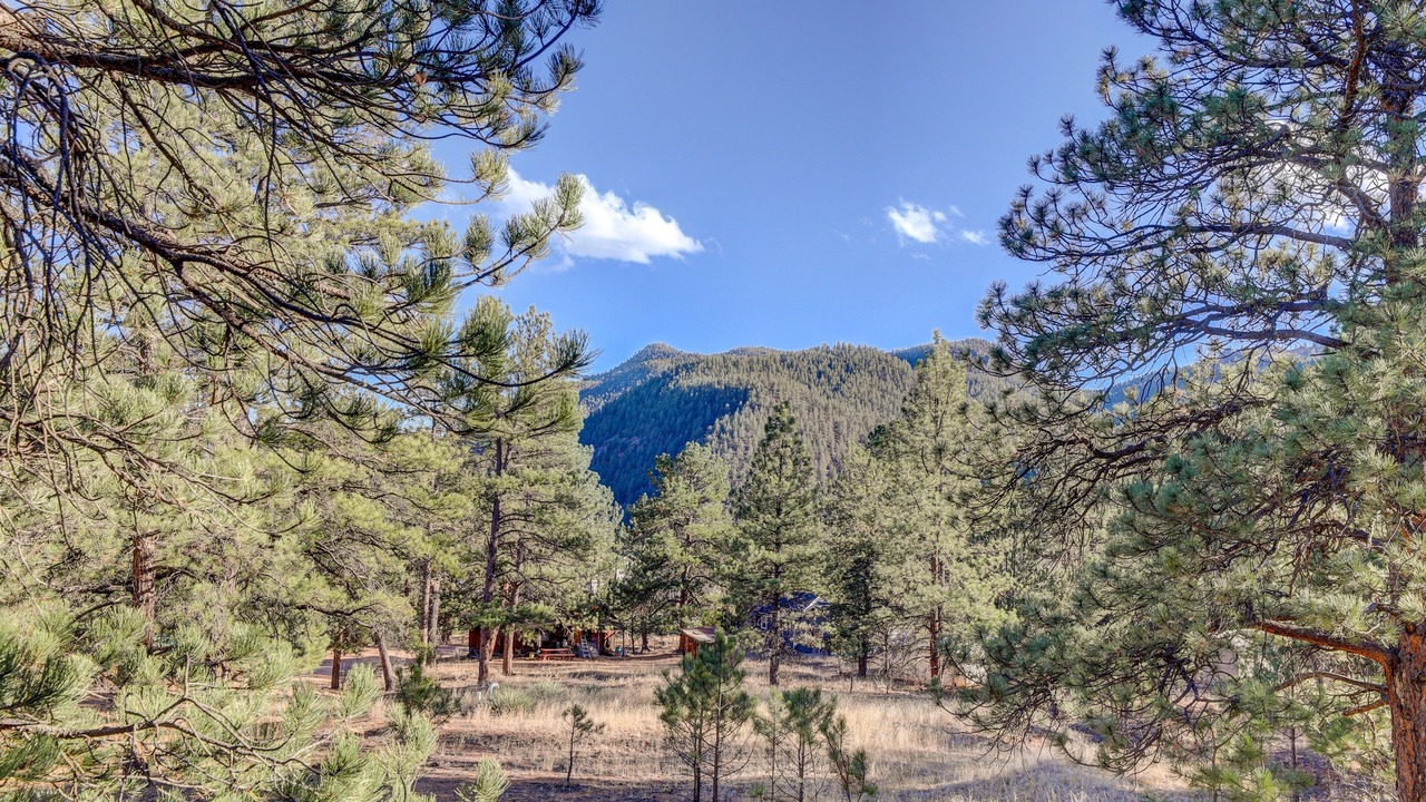 Photo of Others in Pine