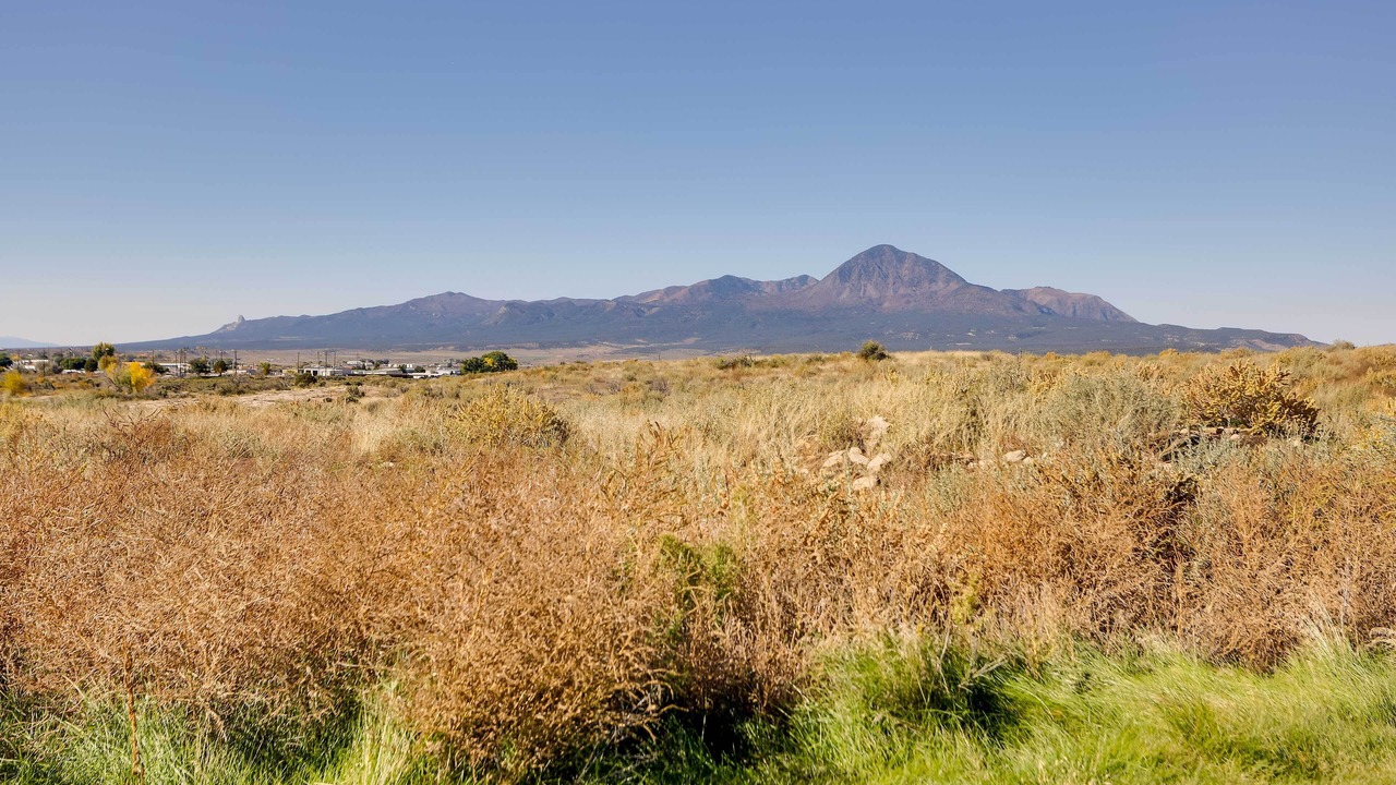 Photo of Outdoor in Cortez