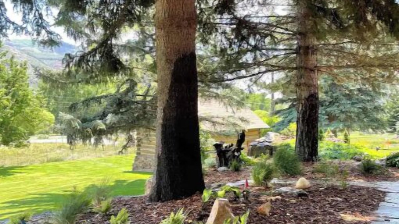 Photo of Outdoor in Trimble