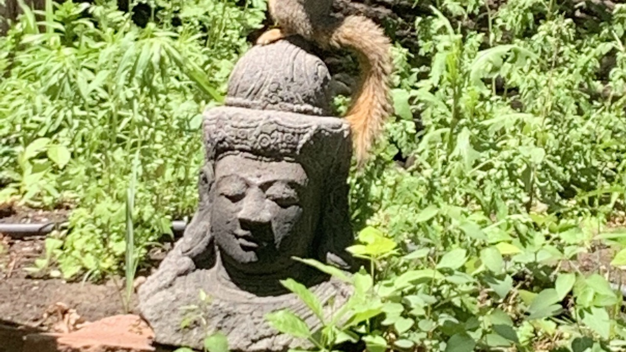 Photo of Outdoor in Boulder