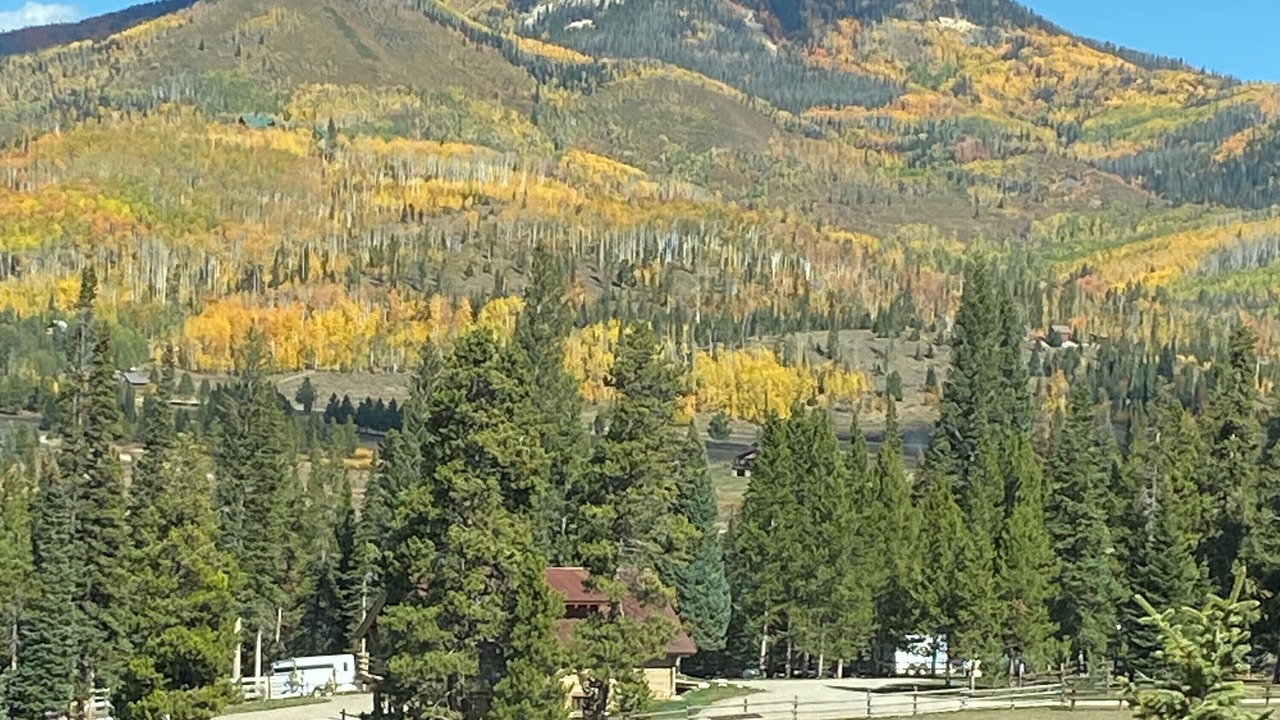 Photo of Others in Clark