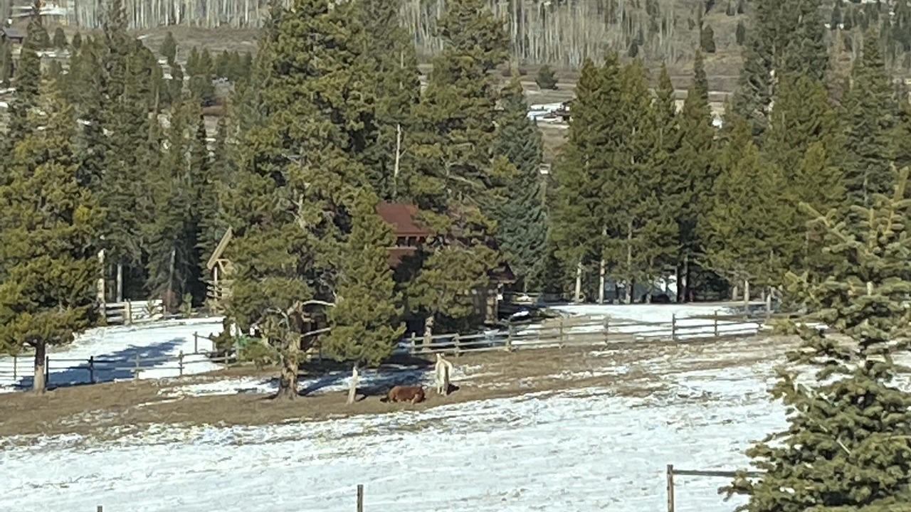 Photo of Others in Clark