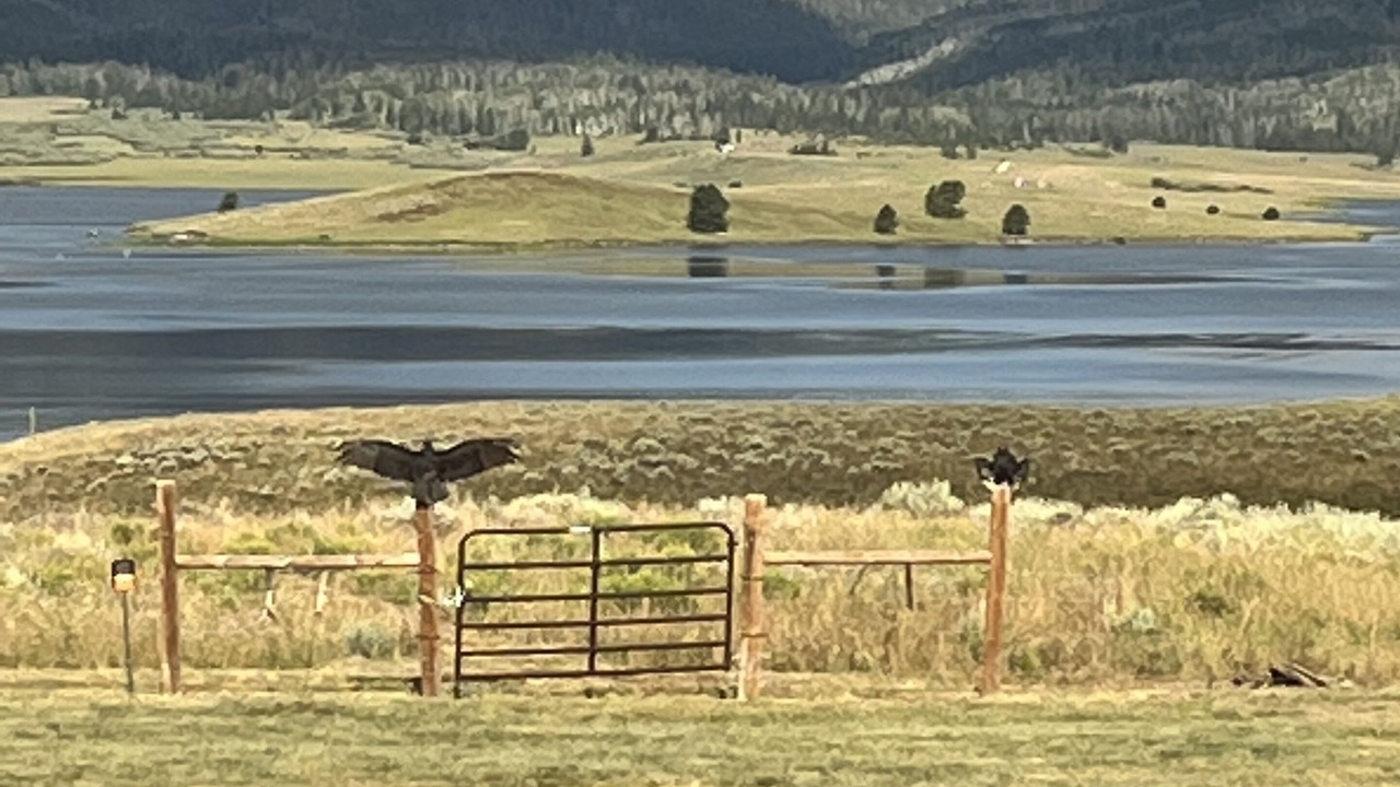 Photo of Outdoor in Clark